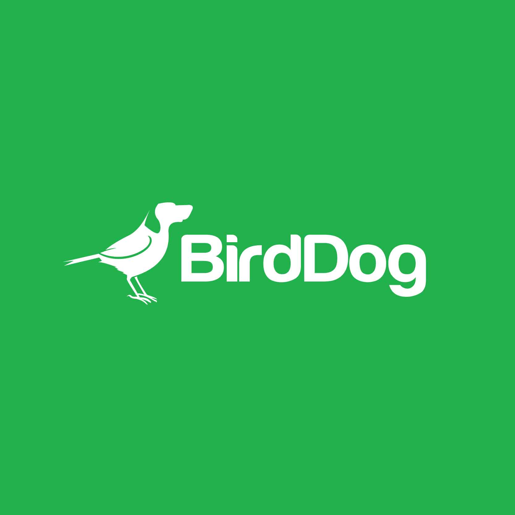 Logo Birddog
